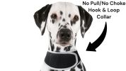 Affordable GPS Pet Collar Realtime Rechargeable Tracking System for Cats & Dogs Size:M