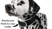 Affordable GPS Pet Collar Realtime Rechargeable Tracking System for Cats & Dogs Size:M