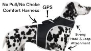 Affordable Pet Surveillance System GSM Rechargeable Collar GPS Tracking for Dogs Size:M