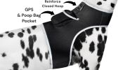 Best Pet Tracking Device Pet Tracker Portable Dog Collar with GPS System Size:M