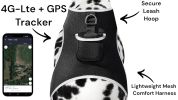 Best Pet Tracking Device Pet Tracker Portable Dog Collar with GPS System Size:M