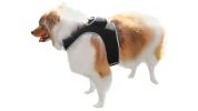 Affordable GPS Pet Collar Realtime Rechargeable Tracking System for Cats & Dogs Size:M