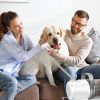 Professional Pet Hair Grooming Vacuuming Kit with 7 Grooming Tools Dog Clipper 2.5L Dust Cup 10000PA Strong Suction Low Noise Hair Remover Pet Hair Gr