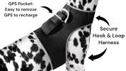 Best Pet Tracking Device Pet Tracker Portable Dog Collar with GPS System Size:M