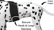 Affordable Pet Surveillance System GSM Rechargeable Collar GPS Tracking for Dogs Size:M