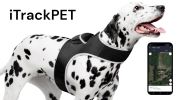 Quality Dog Locator Realtime GPS Pet Tracking Device for Reputable Surveillance Size:L