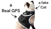 Best Pet Tracking Device Pet Tracker Portable Dog Collar with GPS System Size:M