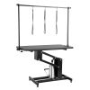 VEVOR 43" Hydraulic Pet Grooming Table, Heavy Duty Dog Grooming Arm for Medium/ Small Dogs, Height Adjustable Dog Grooming Station