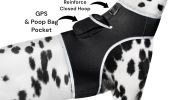 Portable Realtime Tracking Dog Collar GPS GSM Waterproof Mini Tracker Size:L