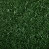 2PCS Realistic Artificial Grass Rug for Pet Potty Training, Synthetic Dog Pee Grass Turf Patch Carpet Pad for Indoor Outdoor