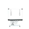 43 Inch Adjustable Heavy Type Hydraulic Pet Dog Grooming Table Upgraded Professional Drying Table Heavy Duty Frame with Adjustable Arm and Noose