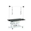43 Inch Adjustable Heavy Type Hydraulic Pet Dog Grooming Table Upgraded Professional Drying Table Heavy Duty Frame with Adjustable Arm and Noose
