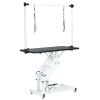 43 Inch Adjustable Heavy Type Hydraulic Pet Dog Grooming Table Upgraded Professional Drying Table Heavy Duty Frame with Adjustable Arm and Noose