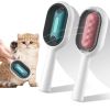 Cat Hair Brush With Water, Sticky Brush For Cats