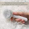 Cat Grooming Brush
