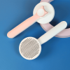 Cat Grooming Brush